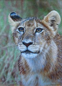lion-cub-portrait