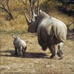 rhino-mother-and-baby